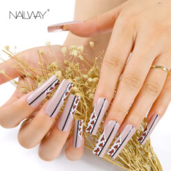 Gift box press on nails WSS241221151 (2)